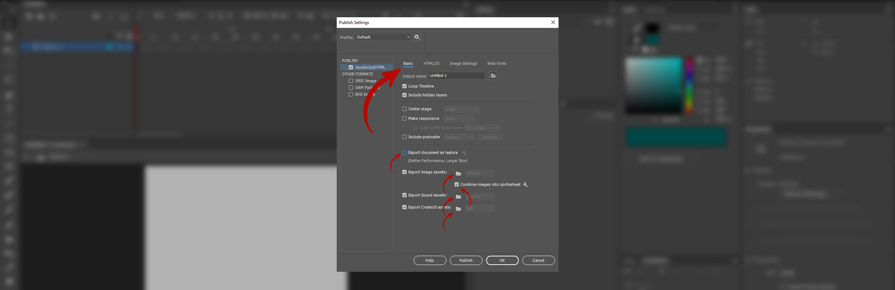 Screenshot of Adobe Animate software. Publish Settings window, Basic tab configuration