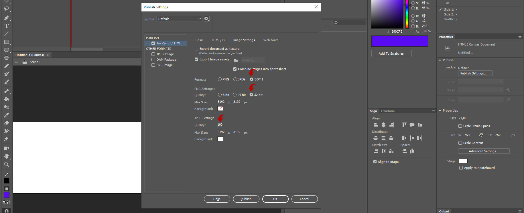 Screenshot of the Publish Settings tab. Basic tab. Adobe Animate software.